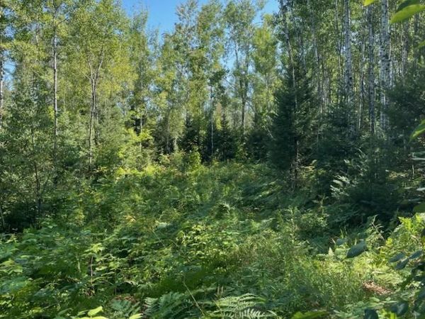 Herzog Road, Sagola Twp, MI 49801