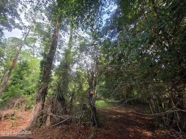 00 Cyprus Road , Hortense, GA 31543