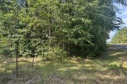 1651, 1571 Creek Mill Road photo 4
