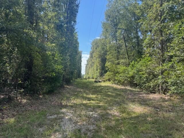 1651, 1571 Creek Mill Road Photo 4