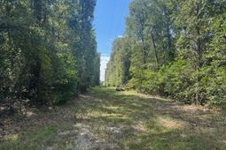 1651, 1571 Creek Mill Road photo 4