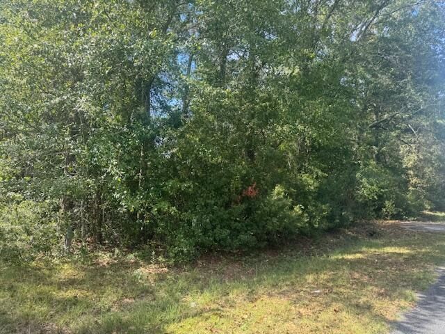 1651, 1571 Creek Mill Road Photo 5