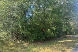 1651, 1571 Creek Mill Road photo 4