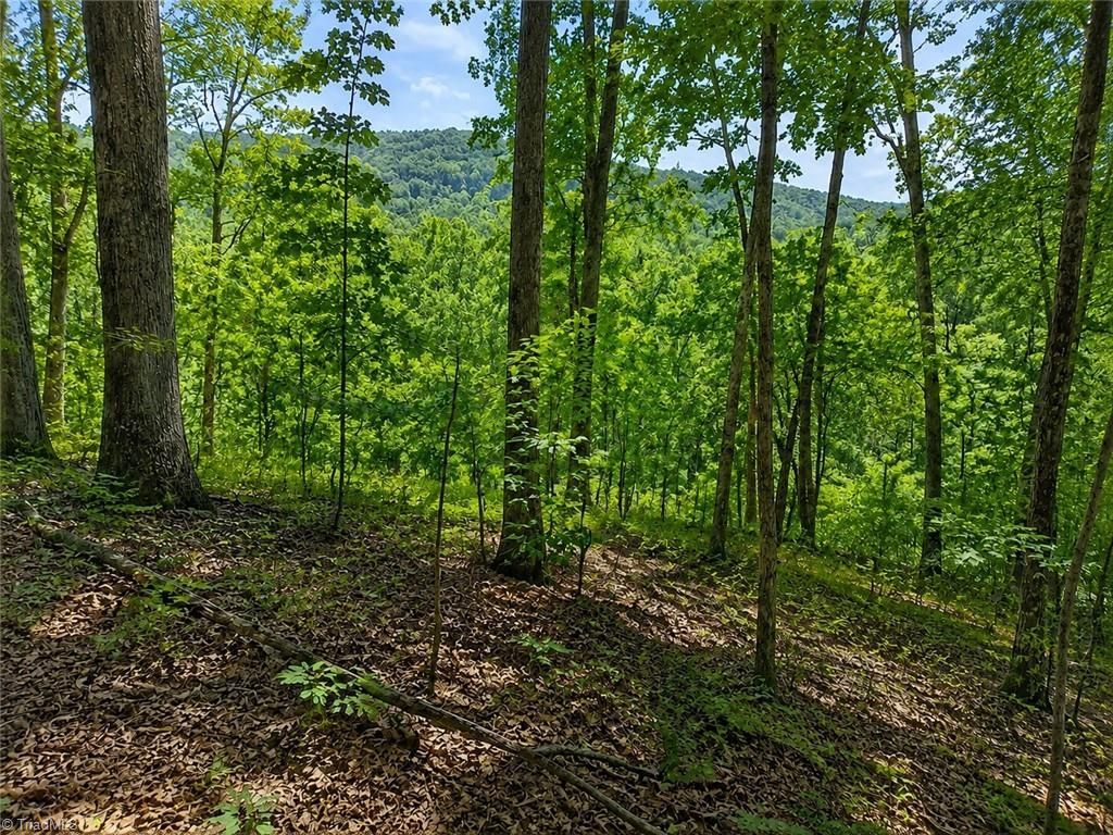 0 Sheppard Mill Road, Danbury, NC 27016 Main Photo