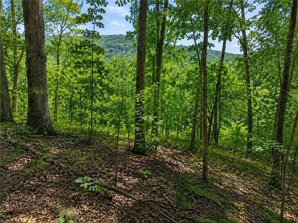 0 Sheppard Mill Road, Danbury, NC 27016