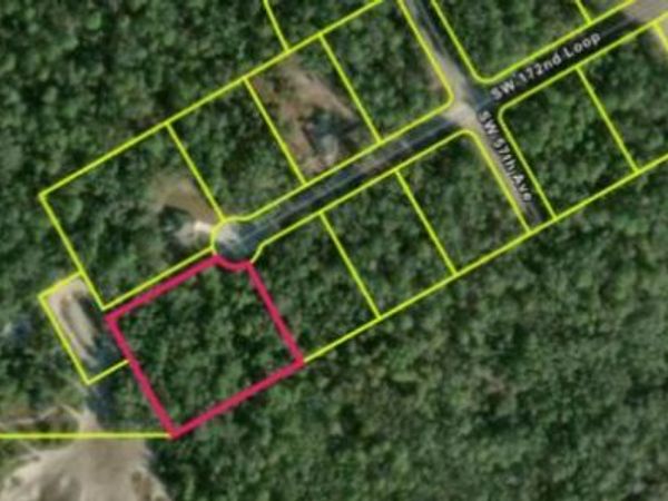 5591 SW 172ND Loop, Ocala, FL 34473