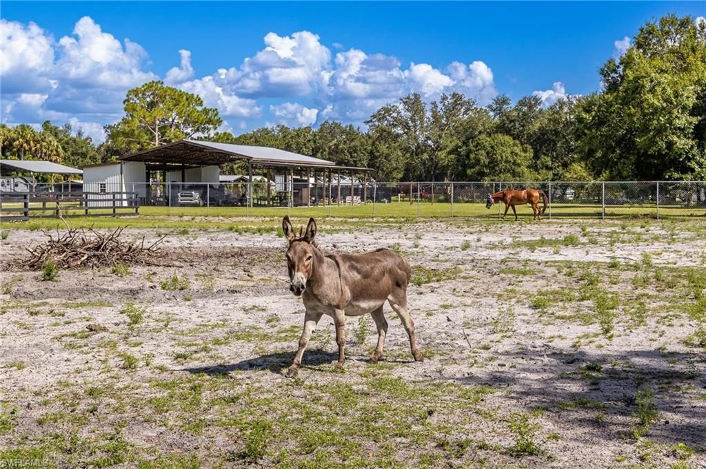 18690 Matt Rd , North Fort Myers, FL 33917 Photo