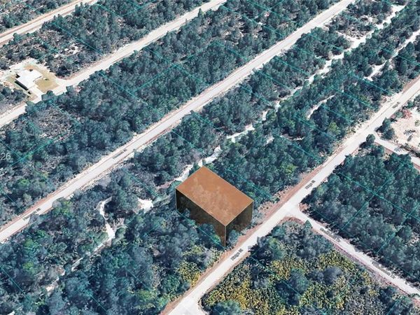 955 RIDGE ST , Lake Placid, FL 33852