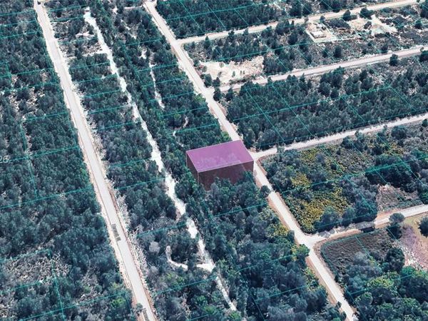 953 RIDGE ST , Lake Placid, FL 33852