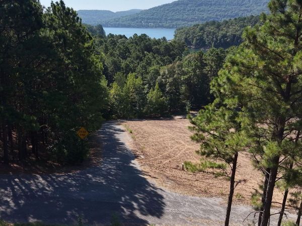 Lot 10 Thompson Cove , Shirley, AR 72088