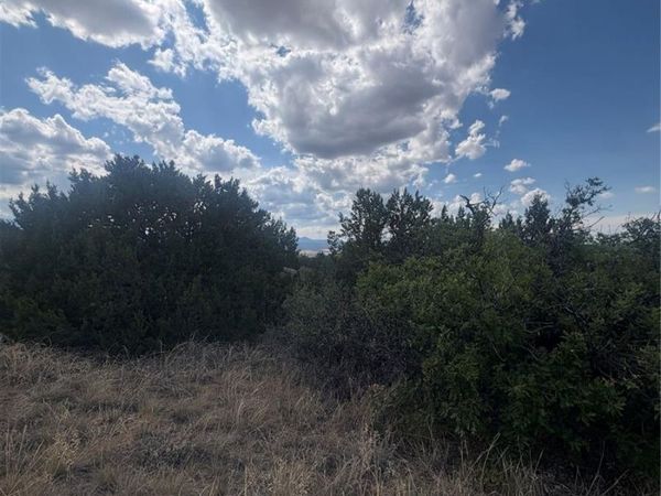 Lot 558 Mount Shavano, Colorado City, CO 81019