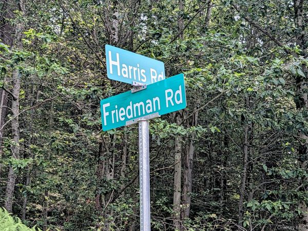 Harris Road , Harris, NY 12742