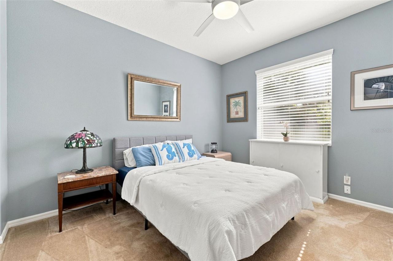 5091 Jasmine Way, Palm Harbor, FL 34685 Photo