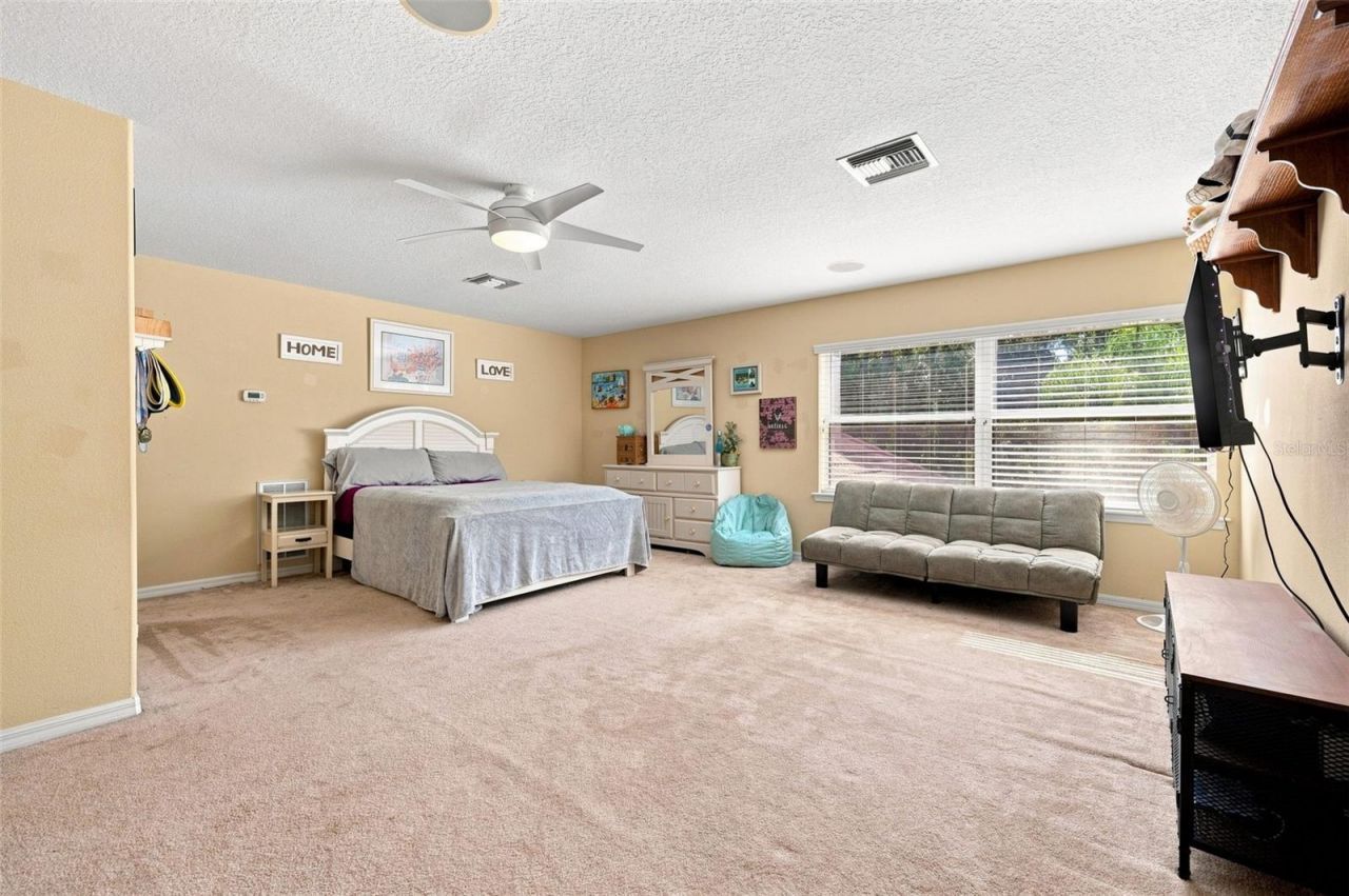 5091 Jasmine Way, Palm Harbor, FL 34685 Photo