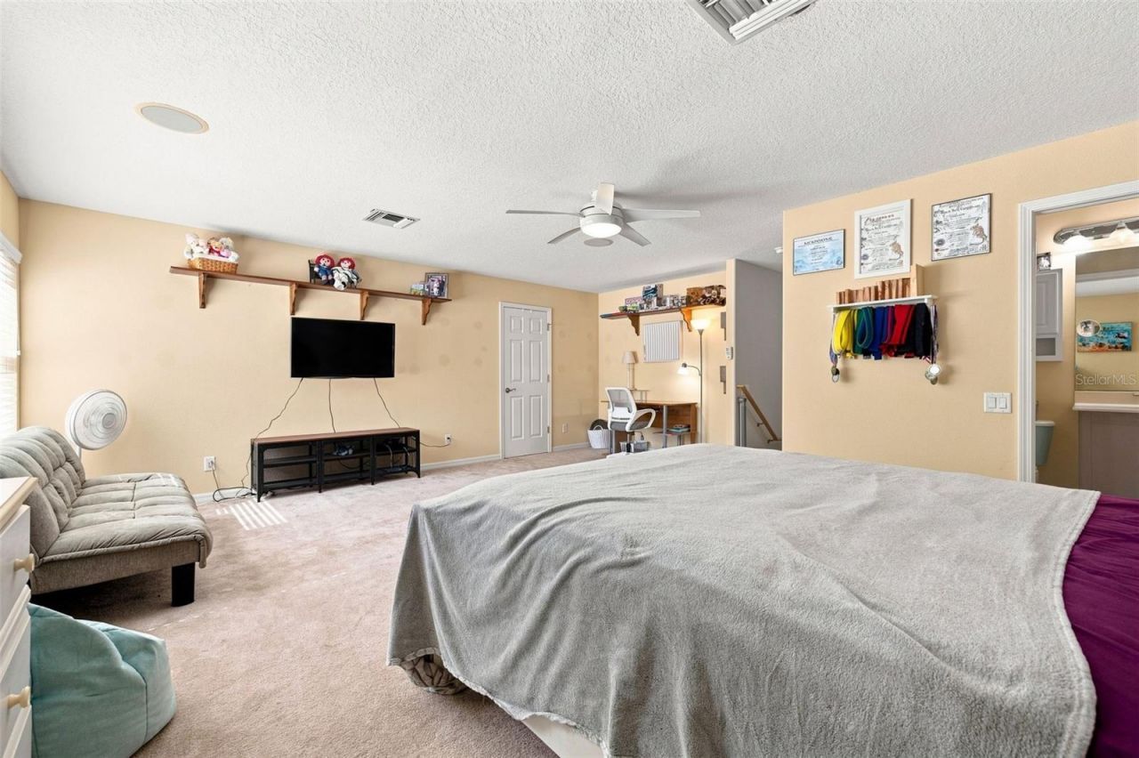 5091 Jasmine Way, Palm Harbor, FL 34685 Photo