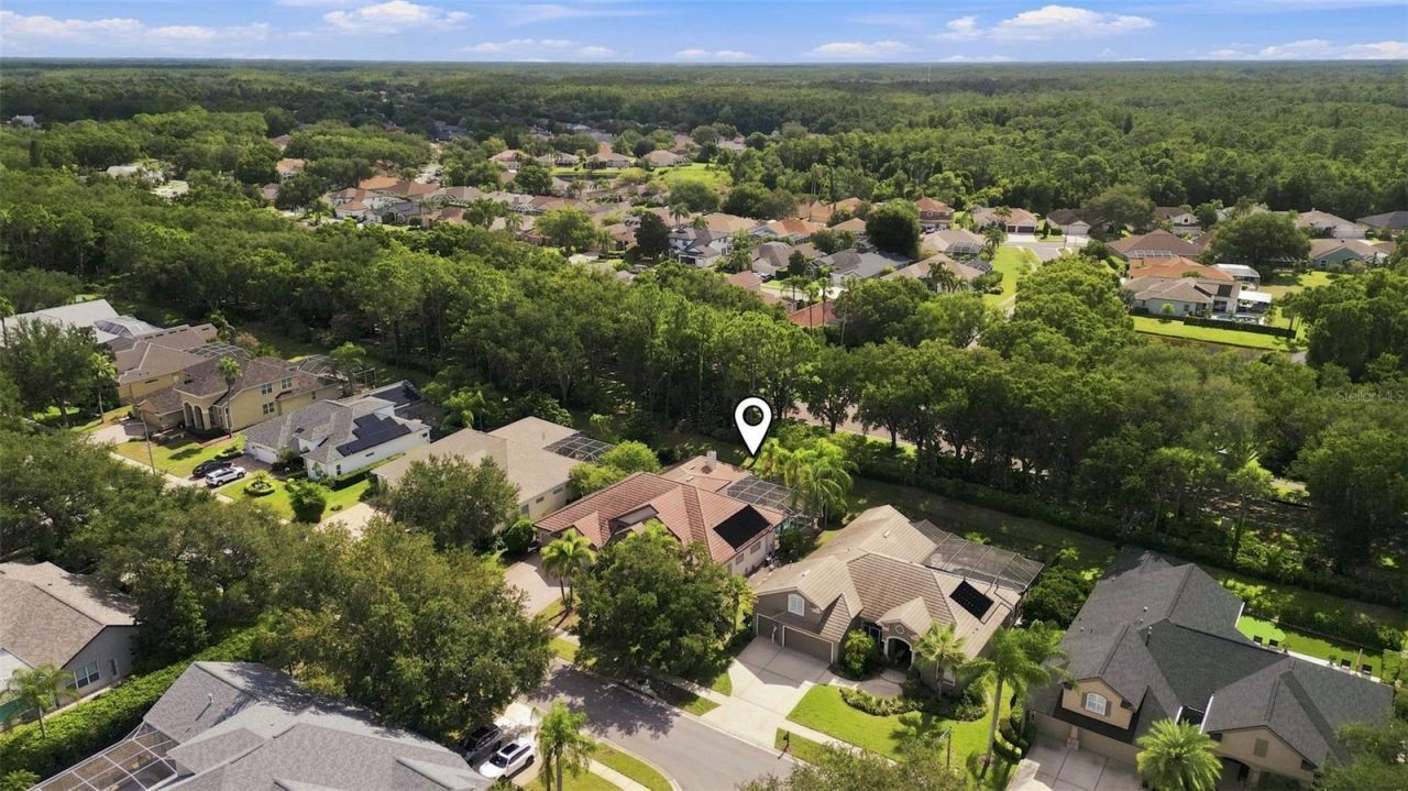5091 Jasmine Way, Palm Harbor, FL 34685 Photo