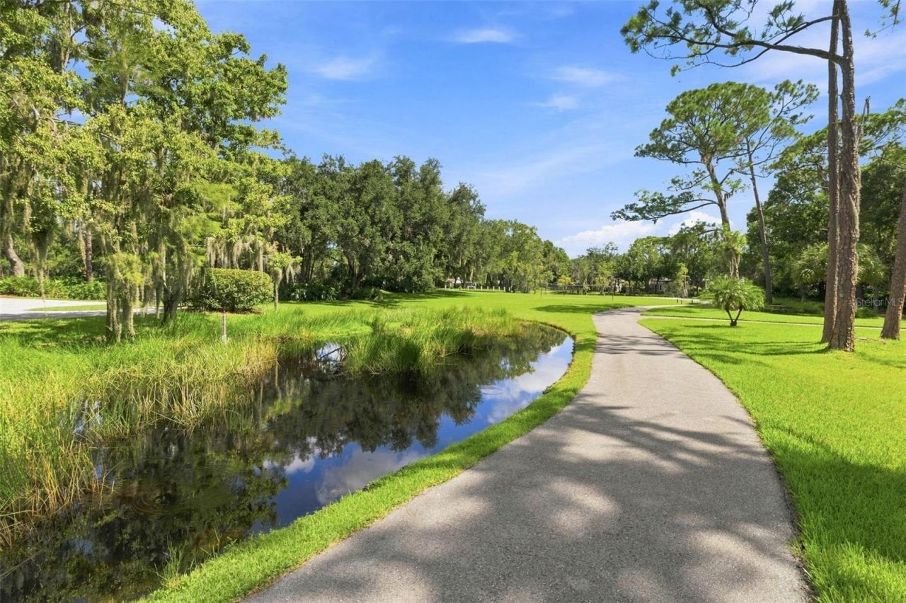5091 Jasmine Way, Palm Harbor, FL 34685 Photo