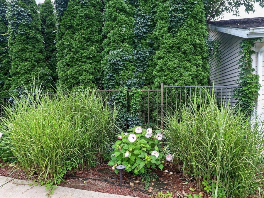 Property Image 44