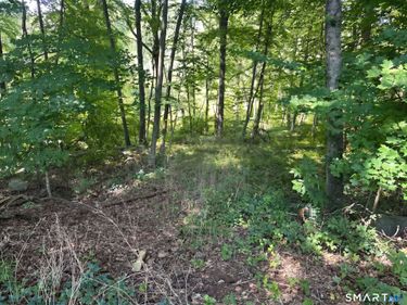 56 Hubbell Mountain , Sherman, CT 06784