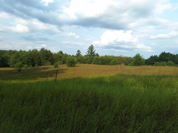 V/L 00 N Lakola Road, Leroy, MI 49655