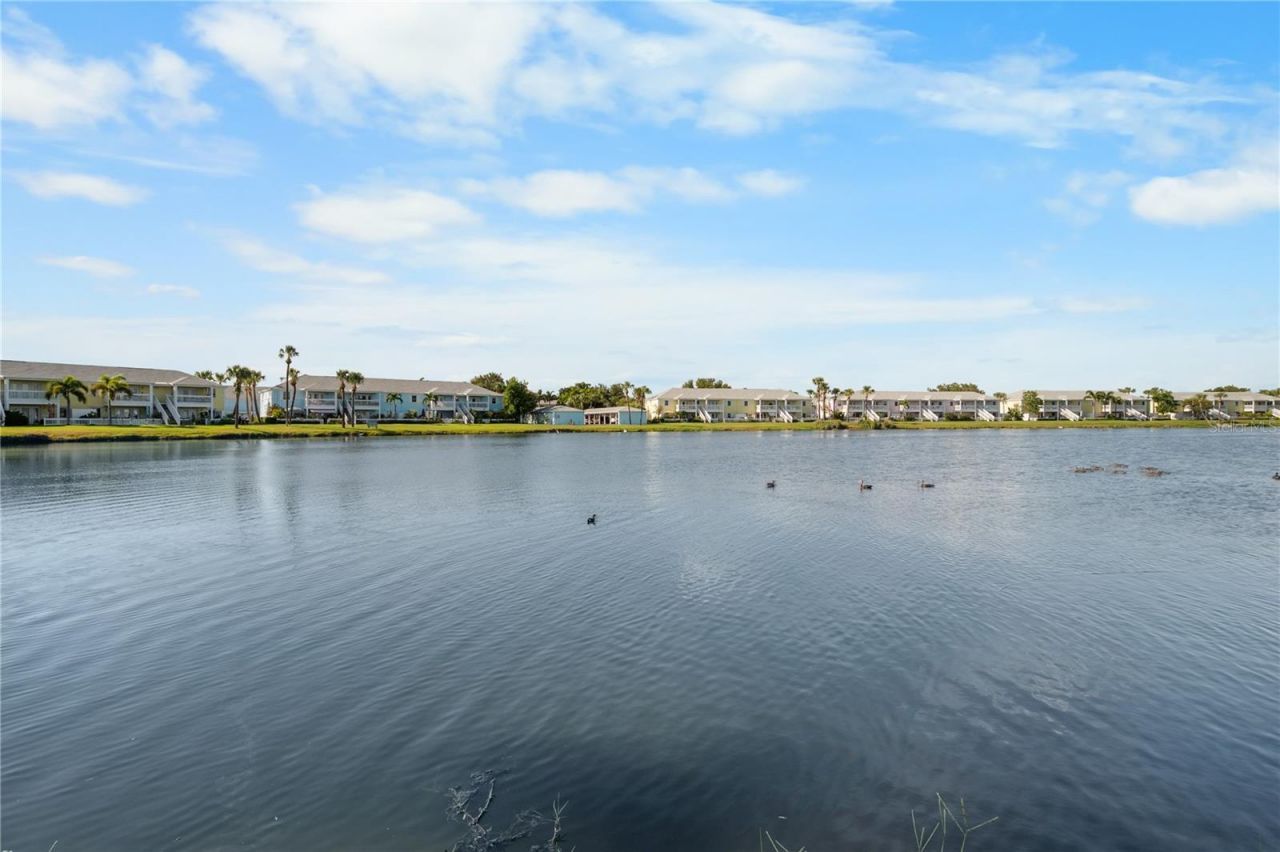 111 Seahorse Drive Se, Unit A, Saint Petersburg, FL 33705 Photo