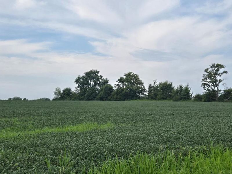 0 Fairground Road, Blanchester, OH 45107 Photo 5
