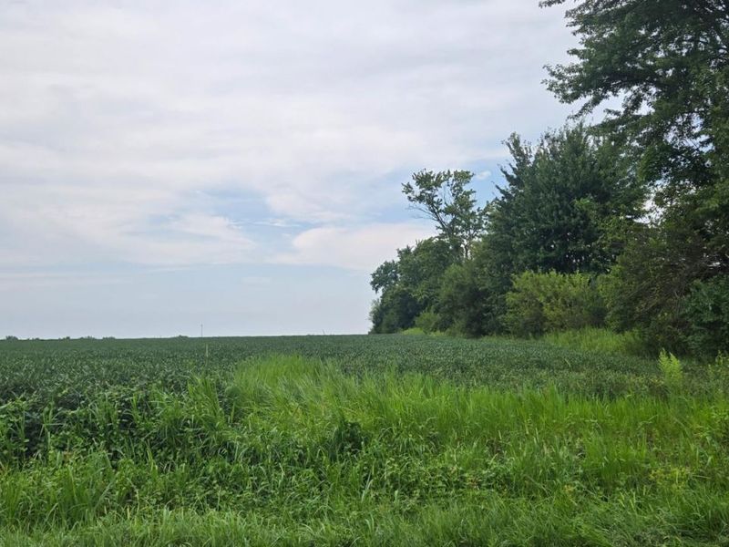 0 Fairground Road, Blanchester, OH 45107 Photo 8
