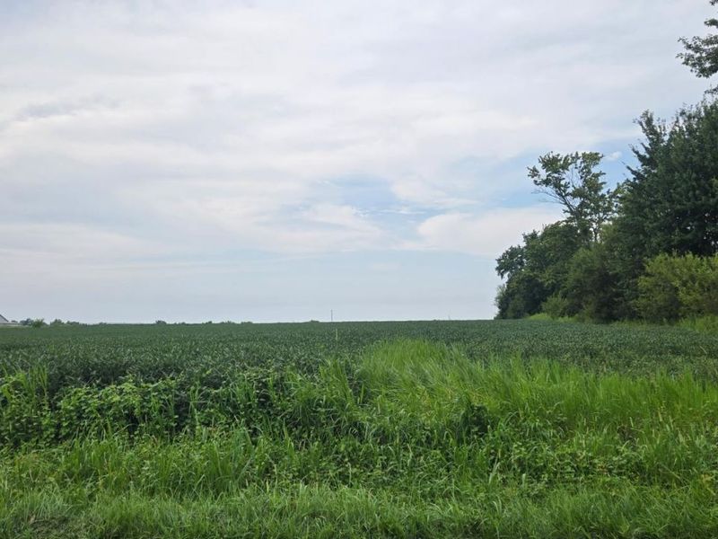 0 Fairground Road, Blanchester, OH 45107 Photo 9