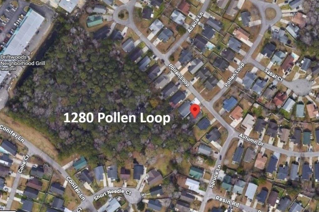 1280 Pollen Loop Photo 16