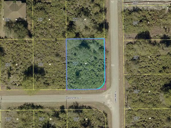 873 Carpenter Street E, Lehigh Acres, FL 33974