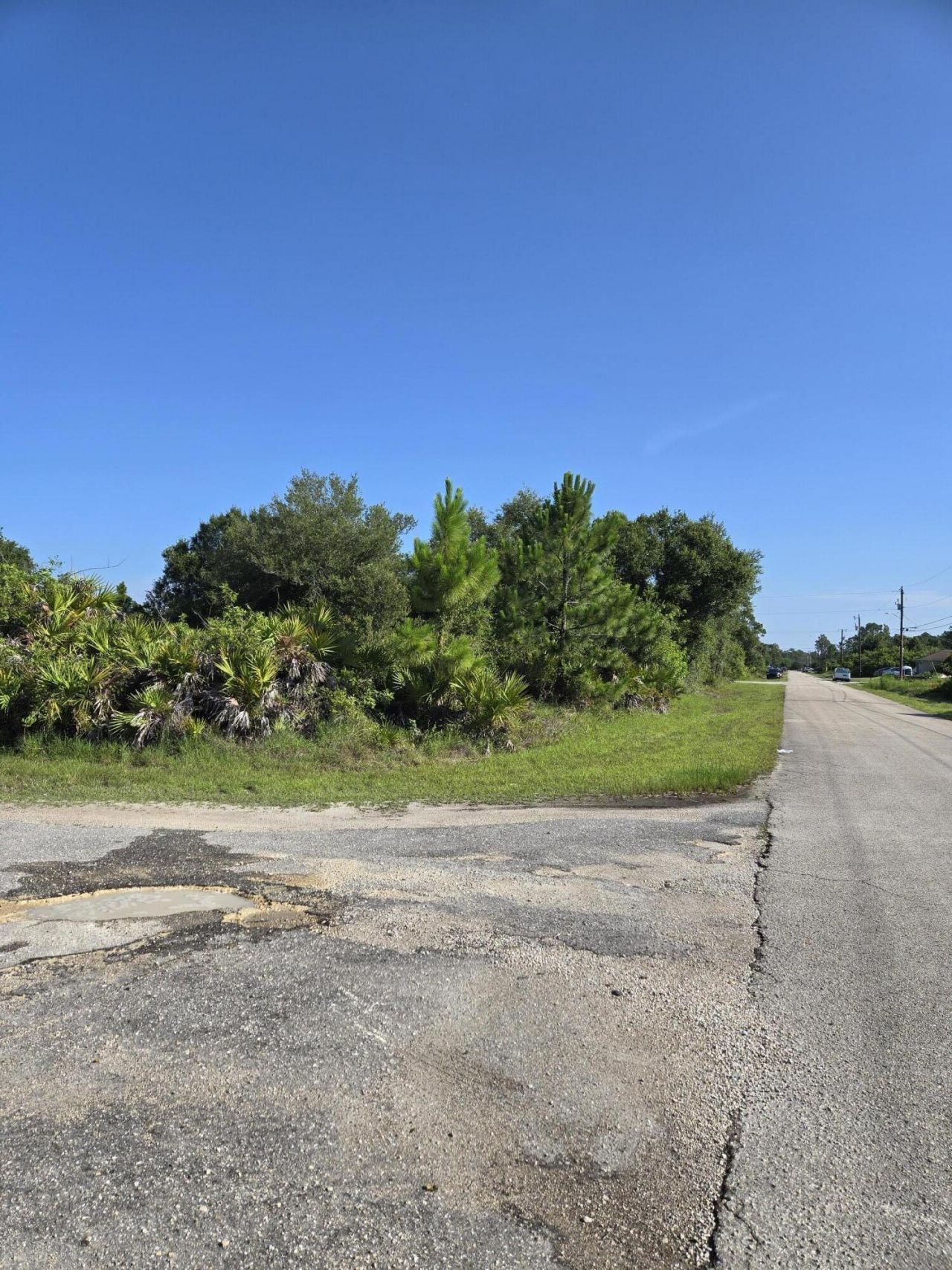 873 Carpenter Street E, Lehigh Acres, FL 33974 Photo