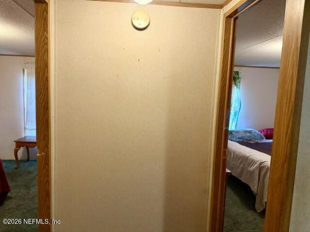 318 Lakeshore Drive, Georgetown, FL 32139 Photo