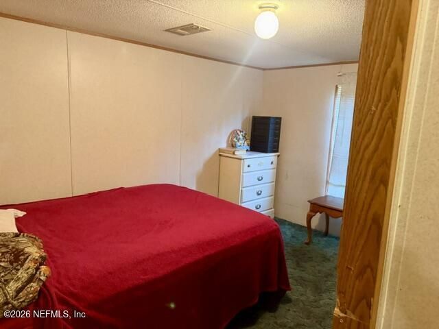 318 Lakeshore Drive, Georgetown, FL 32139 Photo