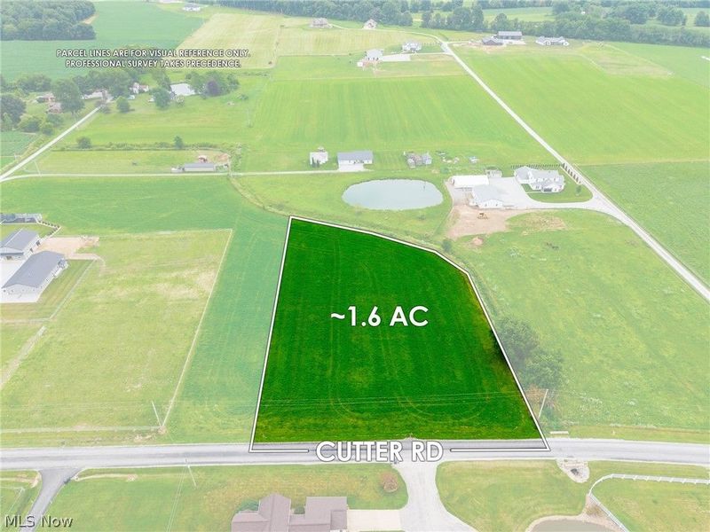 Cutter Road, Apple Creek, OH 44606 Photo 2