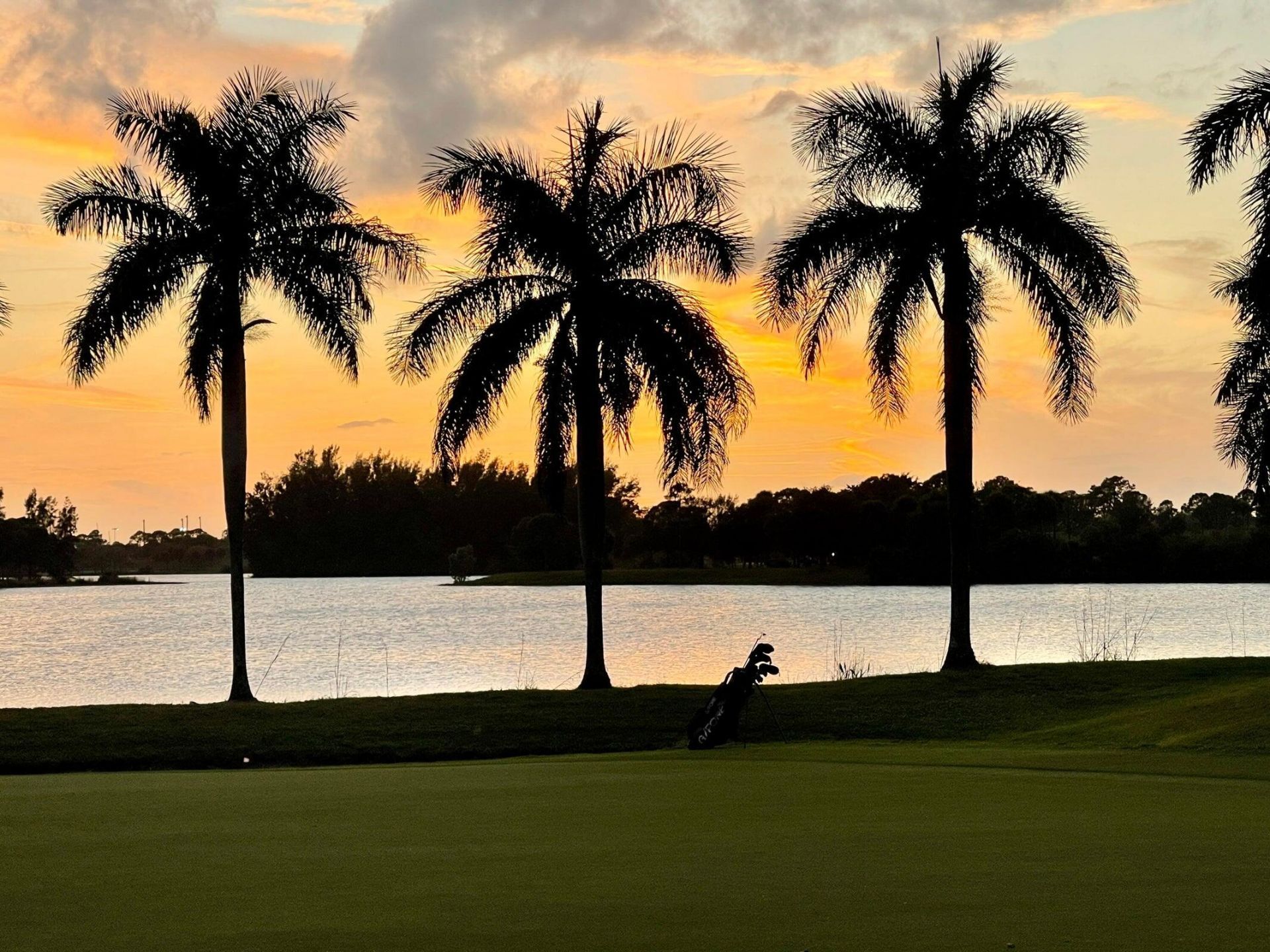 147 Lakeside Landing Court, Royal Palm Beach, FL 33411 Photo
