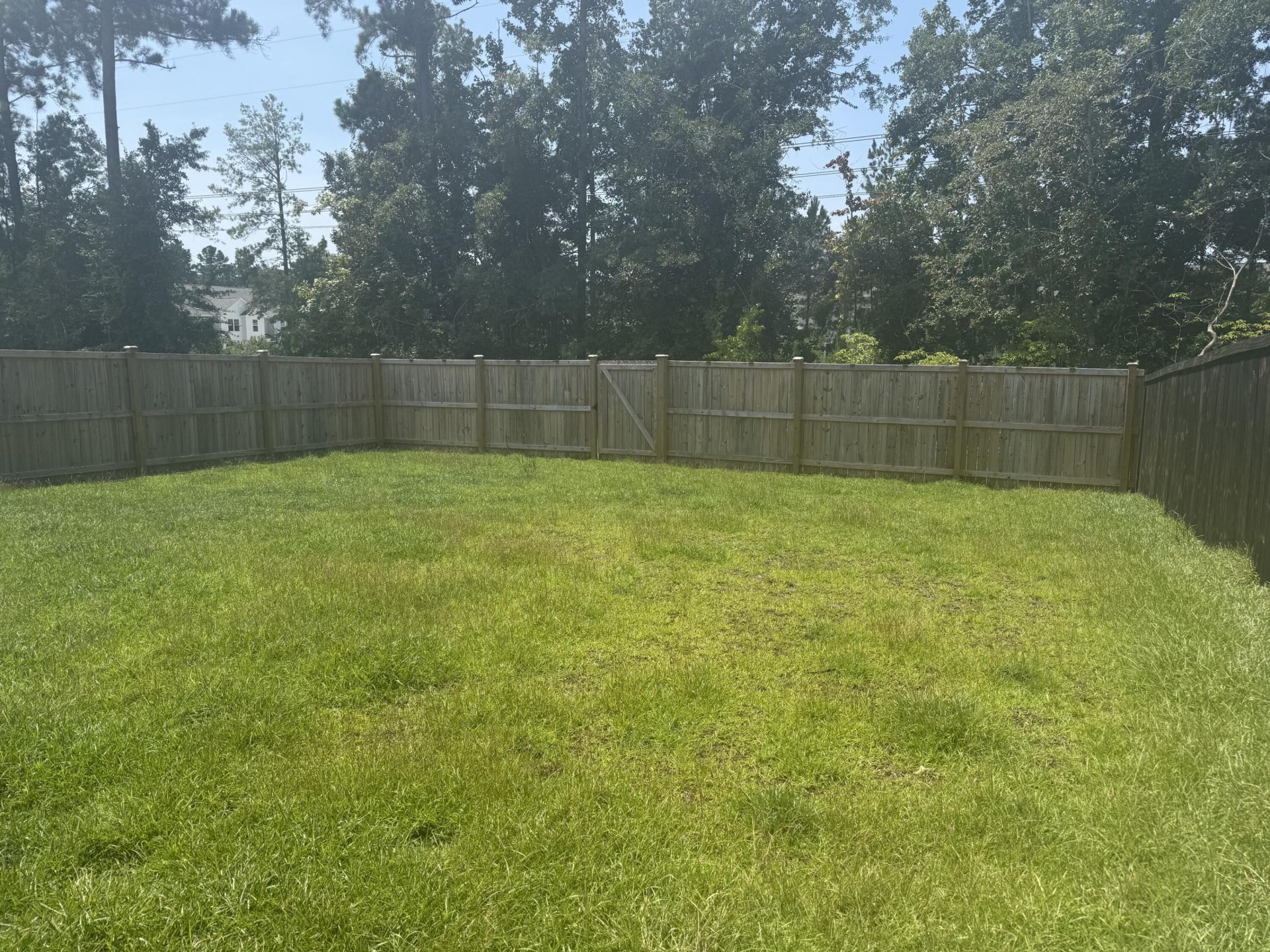 407 Broad Elm Way Photo 4