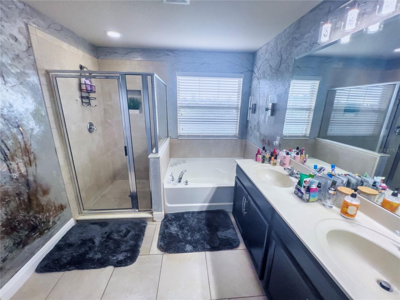 10730 Sunset Ridge Lane , Orlando, FL 32832 Photo