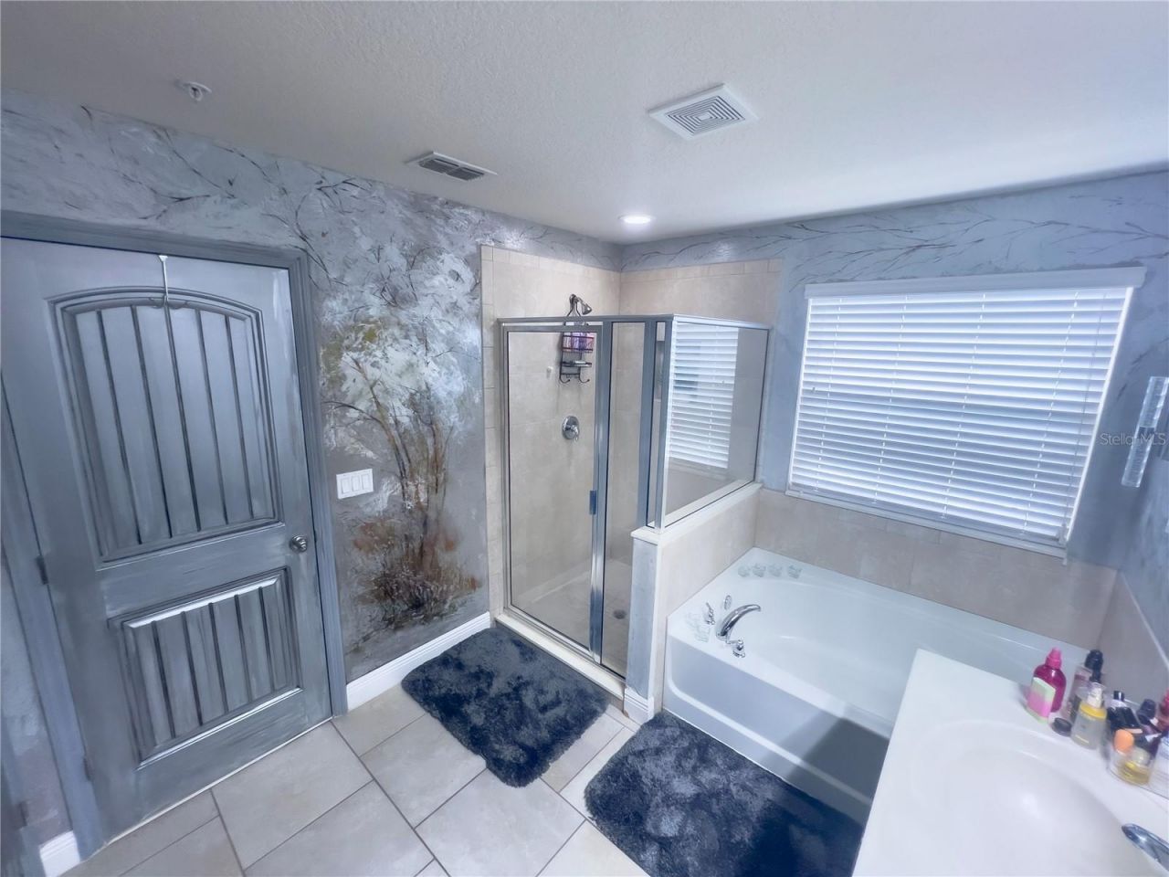 10730 Sunset Ridge Lane , Orlando, FL 32832 Photo