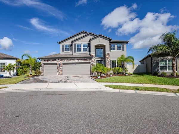 3195 KING FERN DRIVE, WIMAUMA, FL 33598