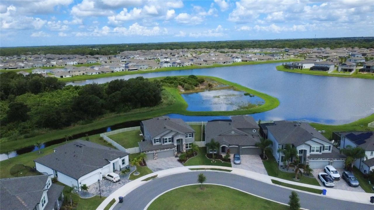 3195 King Fern Drive, Wimauma, FL 33598 Main Photo