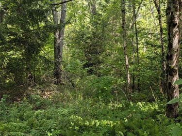 E Afton Road, Afton, NY 13730