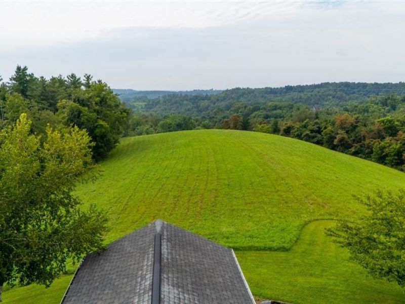 50925 Windy Hill Road, Jacobsburg, OH 43933 Photo 41
