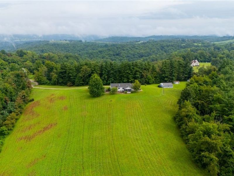 50925 Windy Hill Road, Jacobsburg, OH 43933 Photo 45