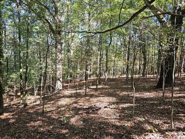 tbd Ales Rd, Batesville, MS 38606