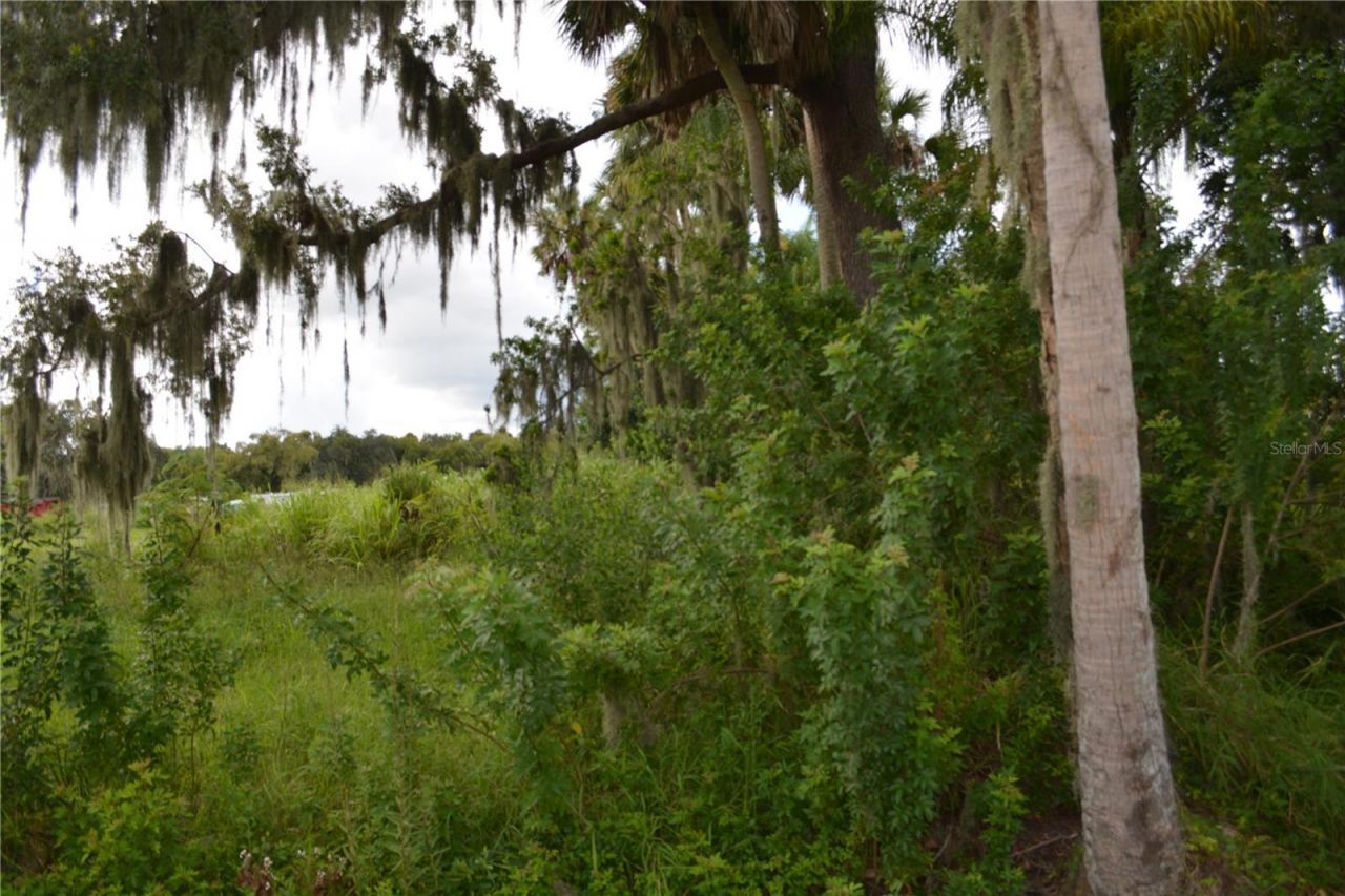 4045 Honey Bee Pt Road , Sanford, FL 32773 Photo