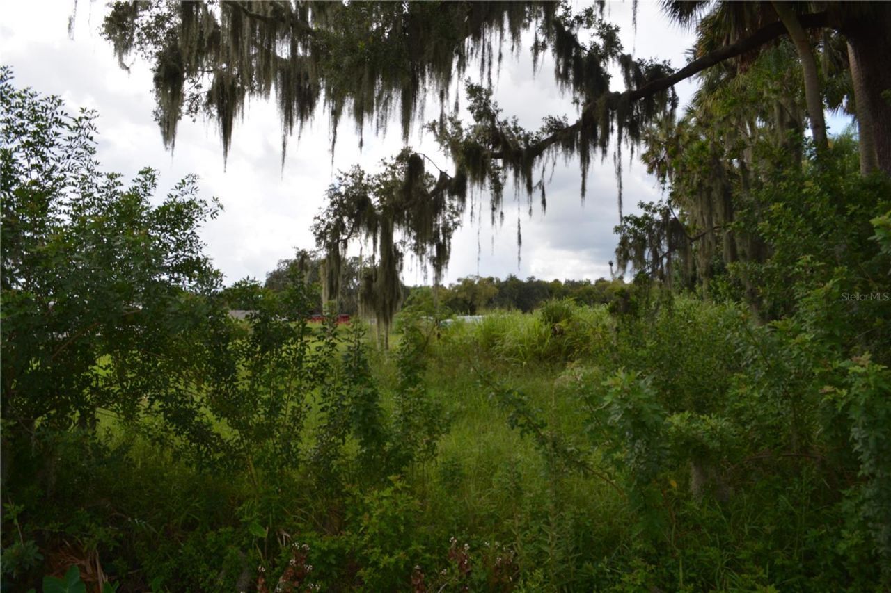 4045 Honey Bee Pt Road , Sanford, FL 32773 Photo