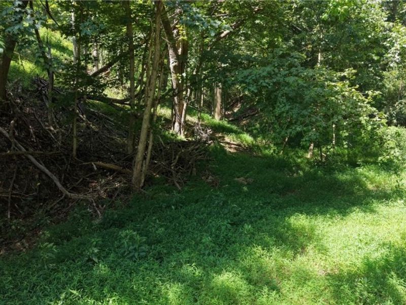 1054 Bergholz Road SE, Bergholz, OH 43908 Photo 4