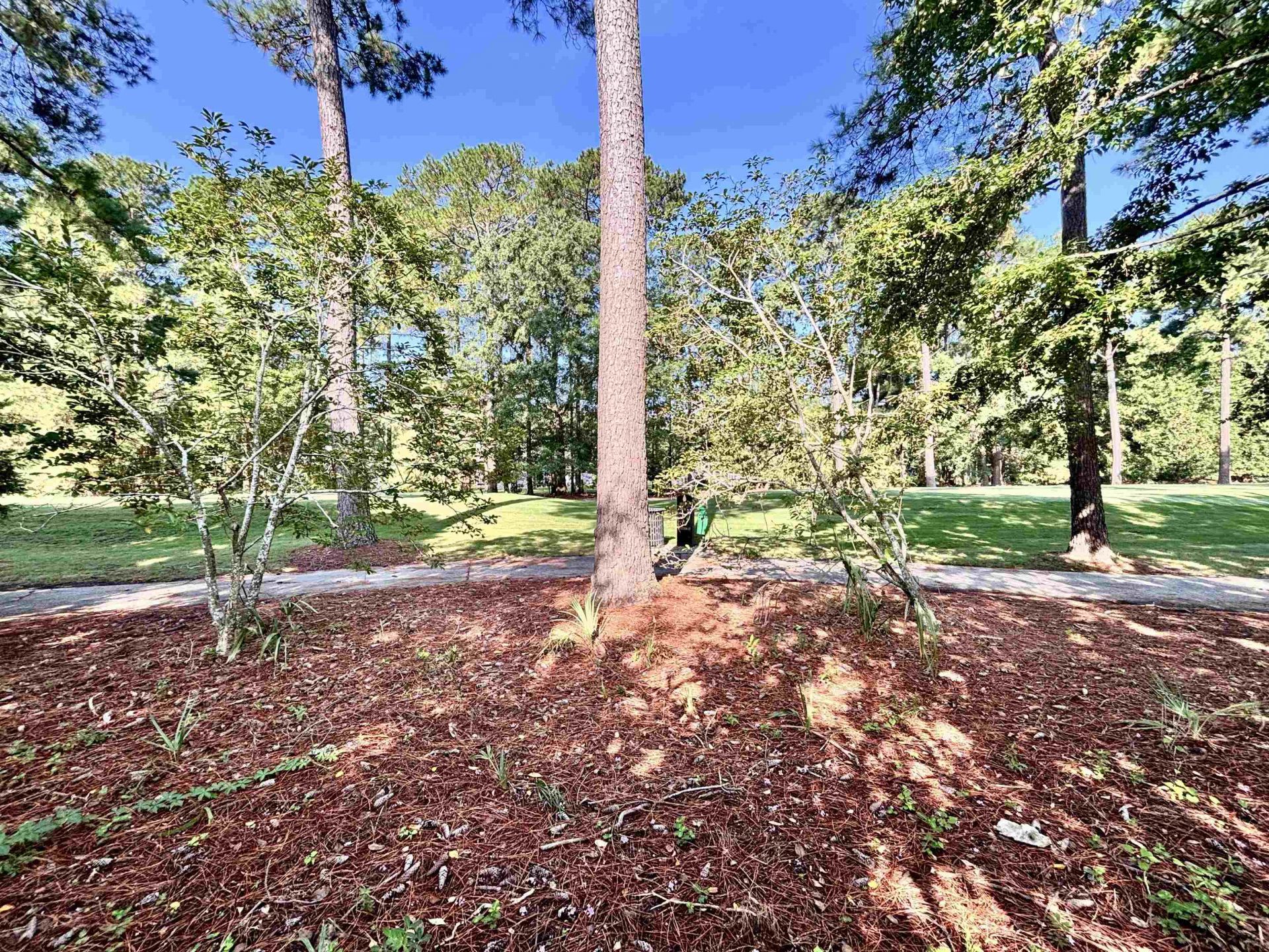 605 Needlerush Ct. Photo 66
