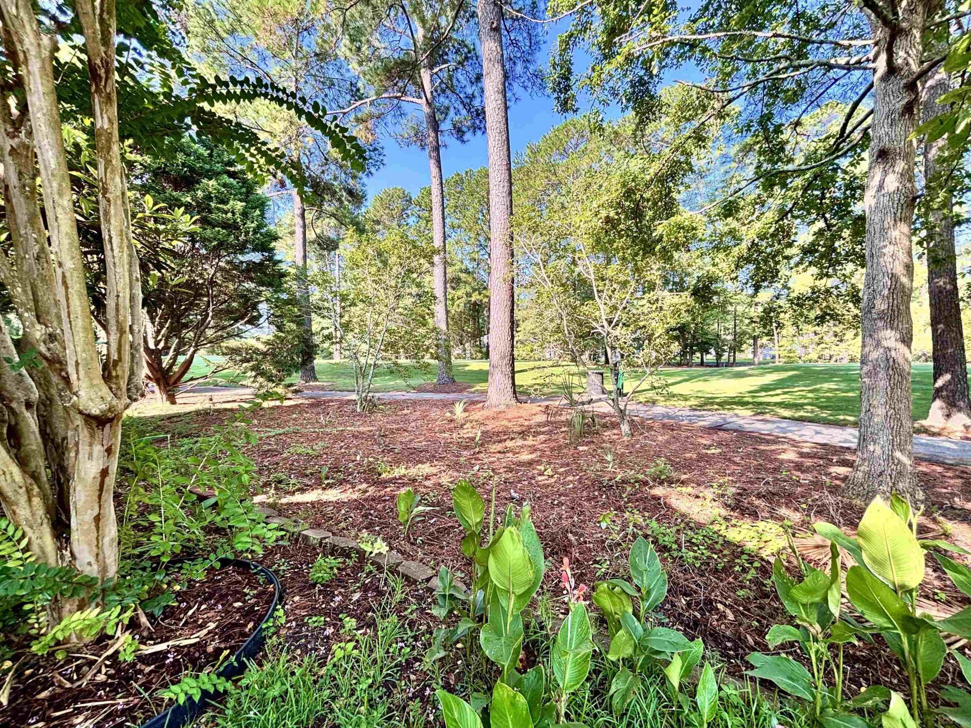 605 Needlerush Ct. Photo 67