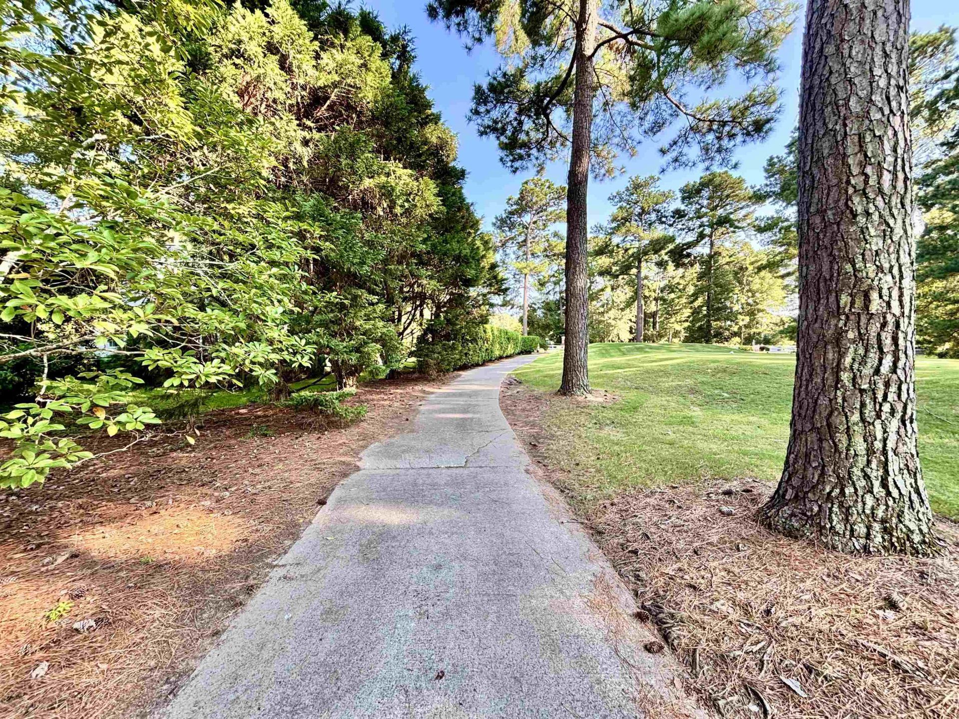 605 Needlerush Ct. Photo 74